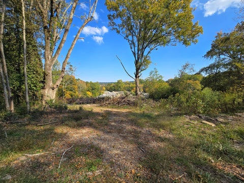 Vacant Land For Sale - 204 S High Street<br/> LaFayette, GA 30728