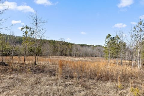 Tiny photo for 0 Birds Eye Way, Guild, TN 37340 (MLS # 1527627)