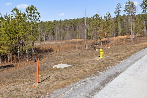 Tiny photo for 0 Birds Eye Way, Guild, TN 37340 (MLS # 1527627)