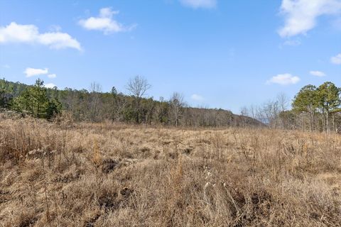 Tiny photo for 0 Birds Eye Way, Guild, TN 37340 (MLS # 1527627)