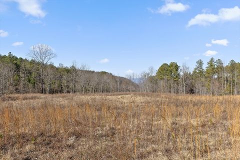 Tiny photo for 0 Birds Eye Way, Guild, TN 37340 (MLS # 1527627)