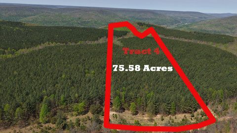 Photo of 0 Sherwood Rd Off, South Pittsburg, TN 37380 (MLS # 1532120)