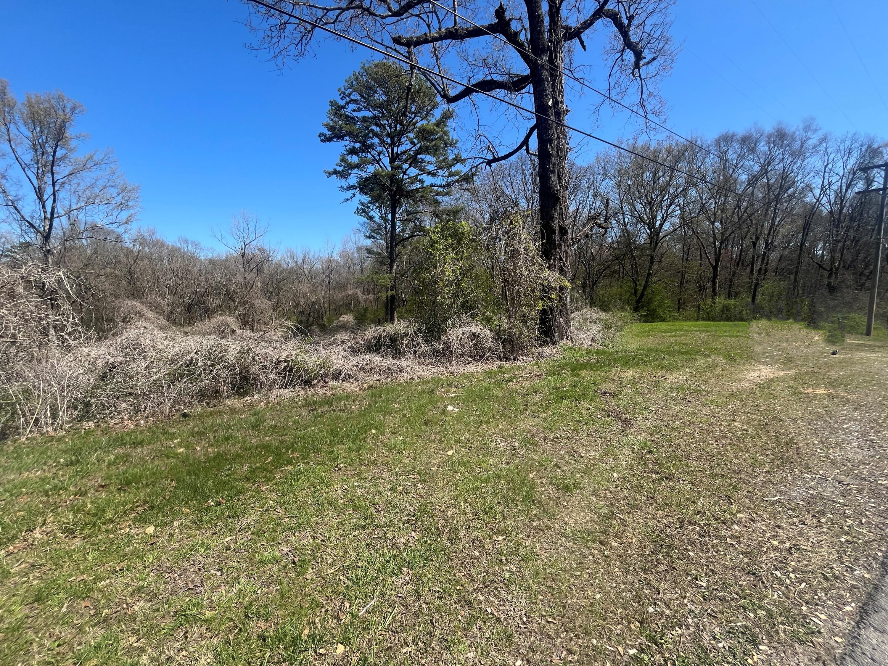1.6 Ac 11th Street, Bridgeport, Alabama image 5