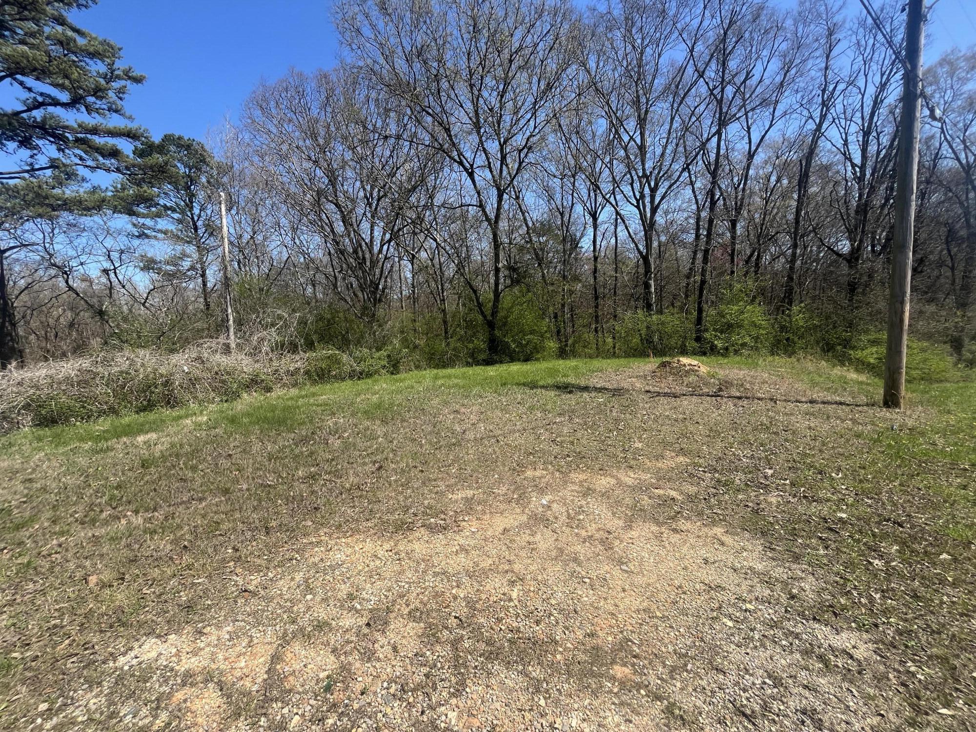 1.6 Ac 11th Street, Bridgeport, Alabama image 4