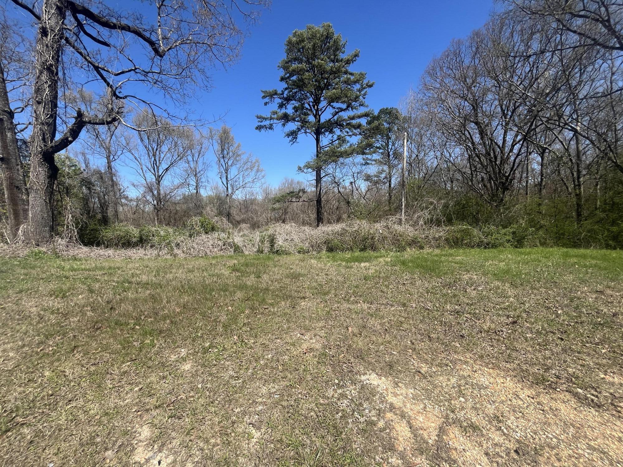 1.6 Ac 11th Street, Bridgeport, Alabama image 1