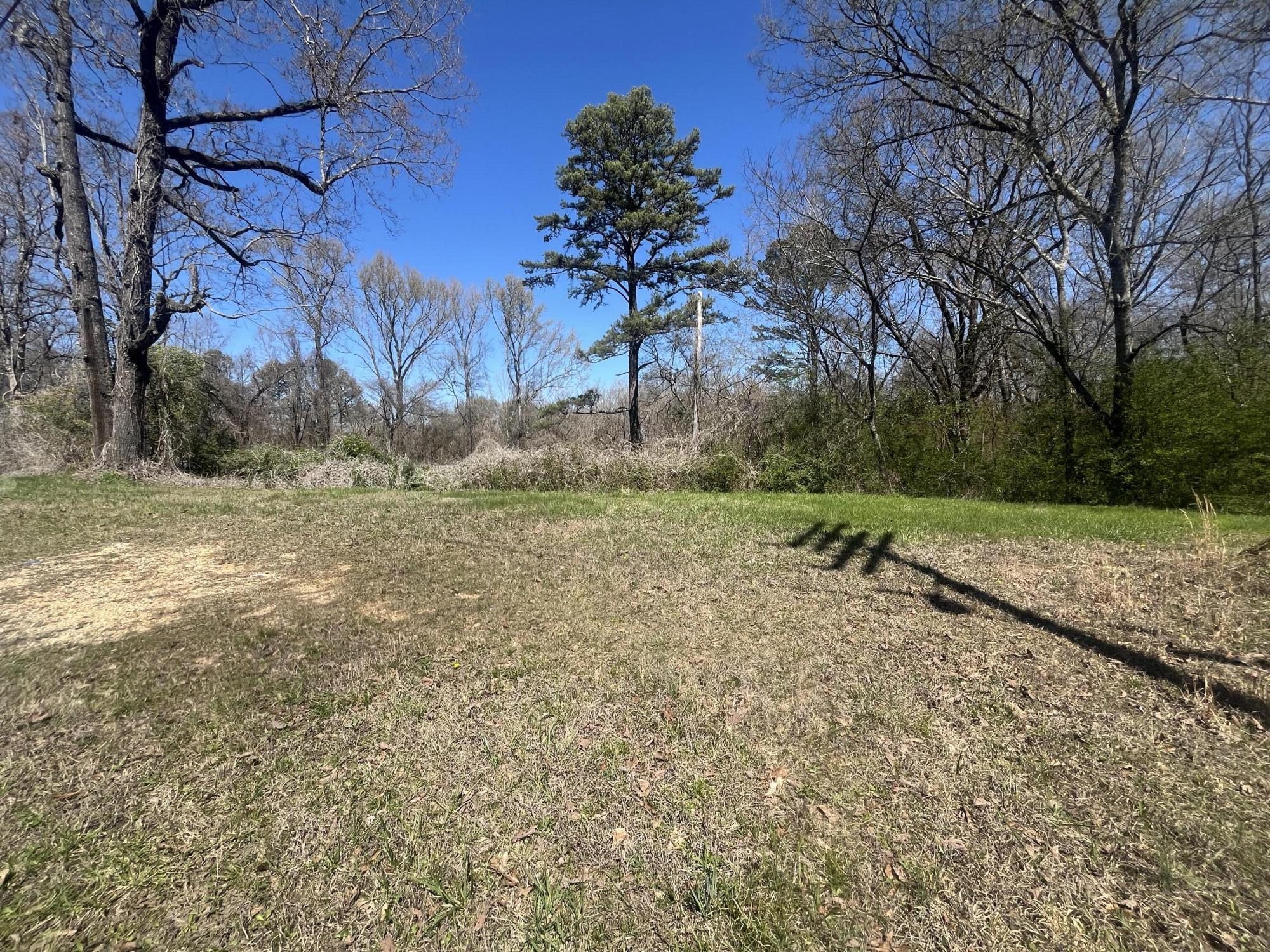 1.6 Ac 11th Street, Bridgeport, Alabama image 2