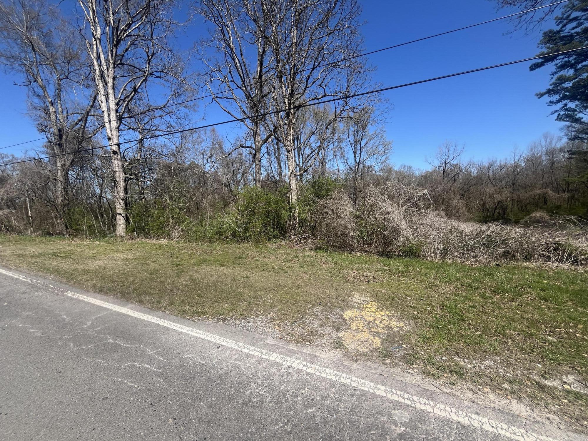 1.6 Ac 11th Street, Bridgeport, Alabama image 3