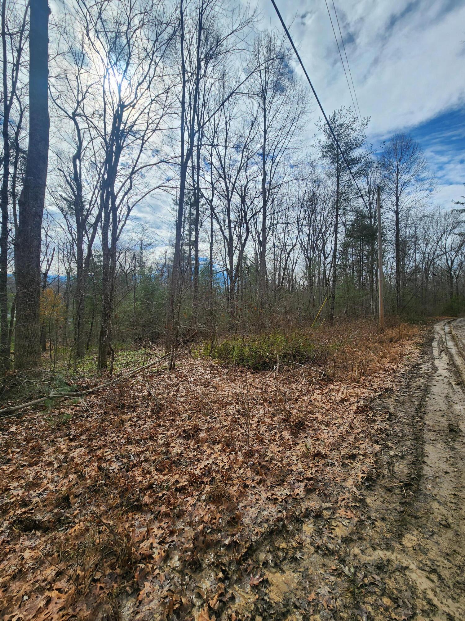 Brown Creek Drive #197, Crossville, Tennessee image 2