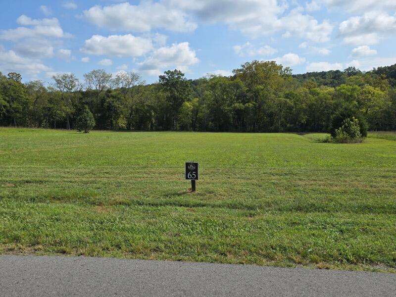 Lot 65 River Ridge Drive