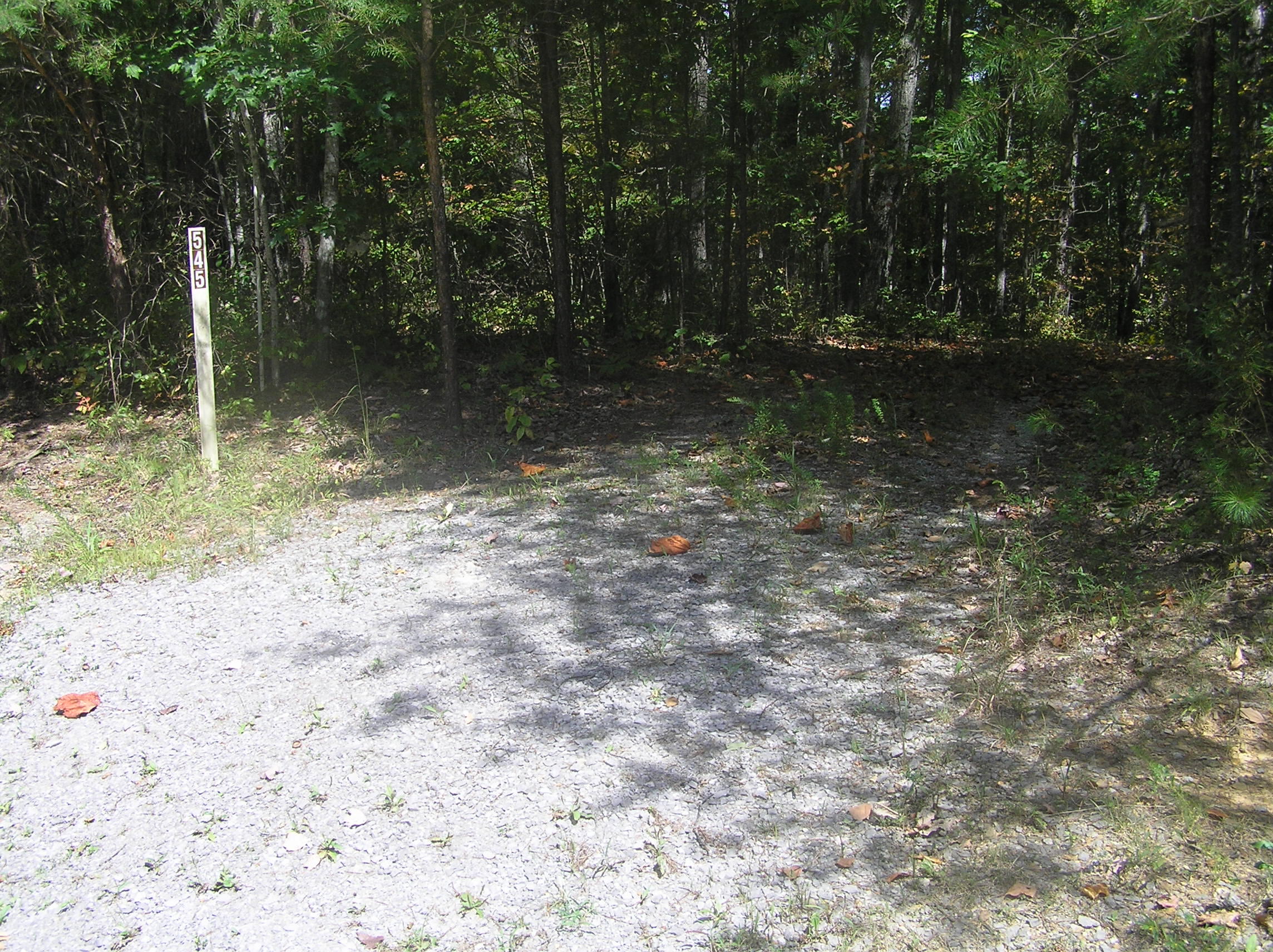 545 Wilderness Way, Dunlap, Tennessee image 14