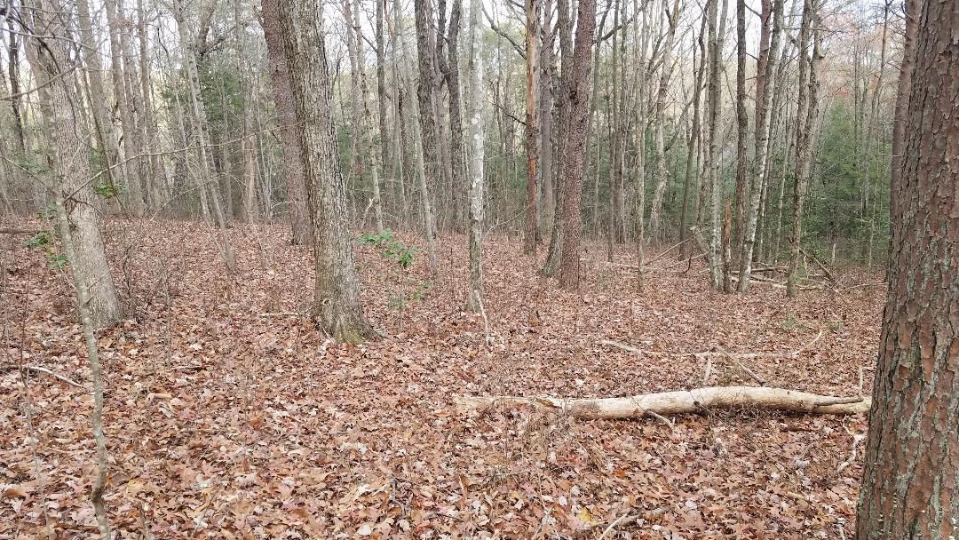 545 Wilderness Way, Dunlap, Tennessee image 34