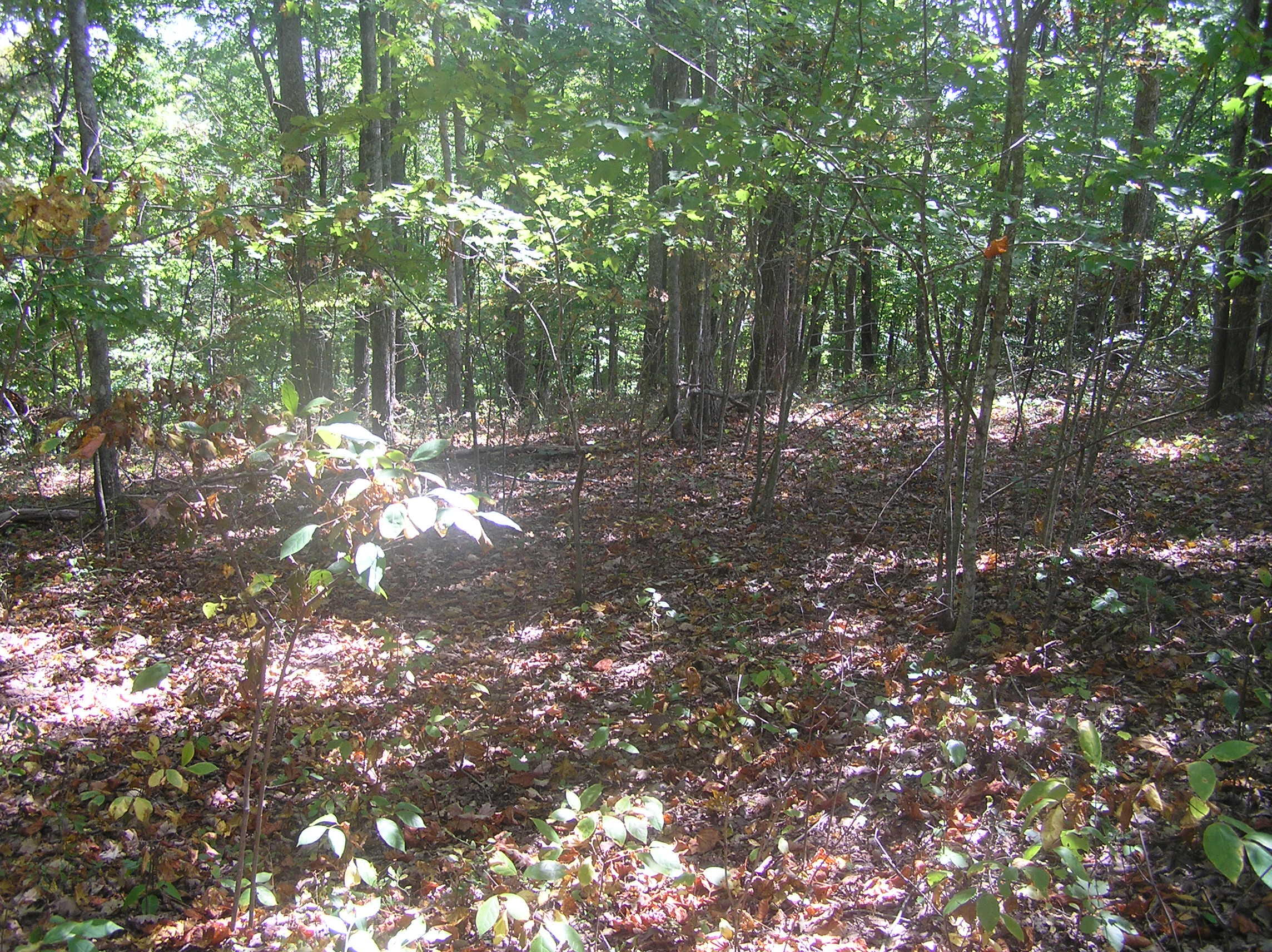545 Wilderness Way, Dunlap, Tennessee image 22