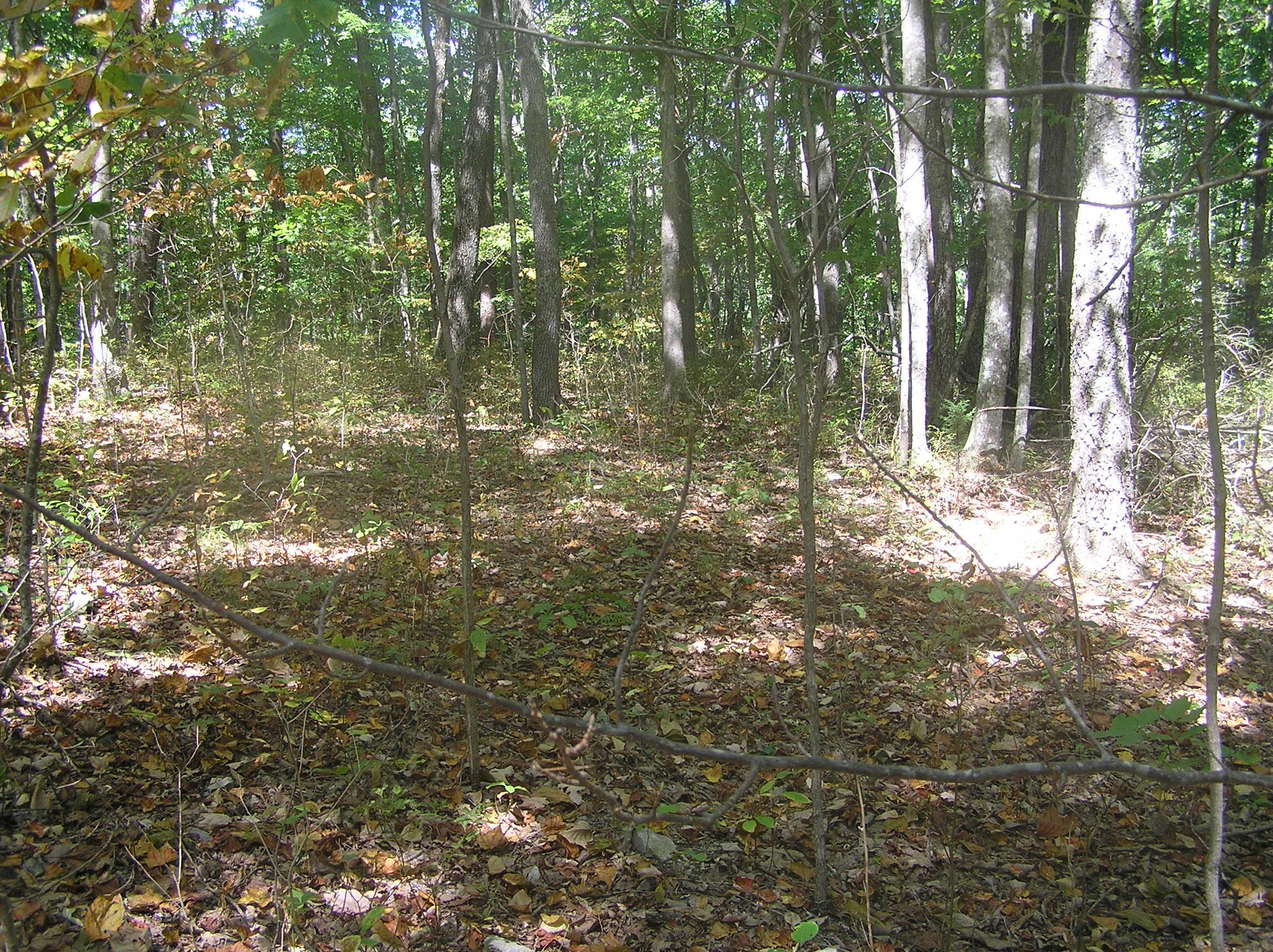 545 Wilderness Way, Dunlap, Tennessee image 24