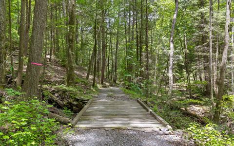 Tiny photo for Lot 547 Wilderness Way, Dunlap, TN 37327 (MLS # 1525046)