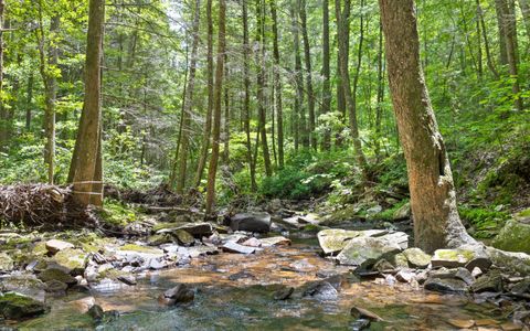 Tiny photo for Lot 547 Wilderness Way, Dunlap, TN 37327 (MLS # 1525046)