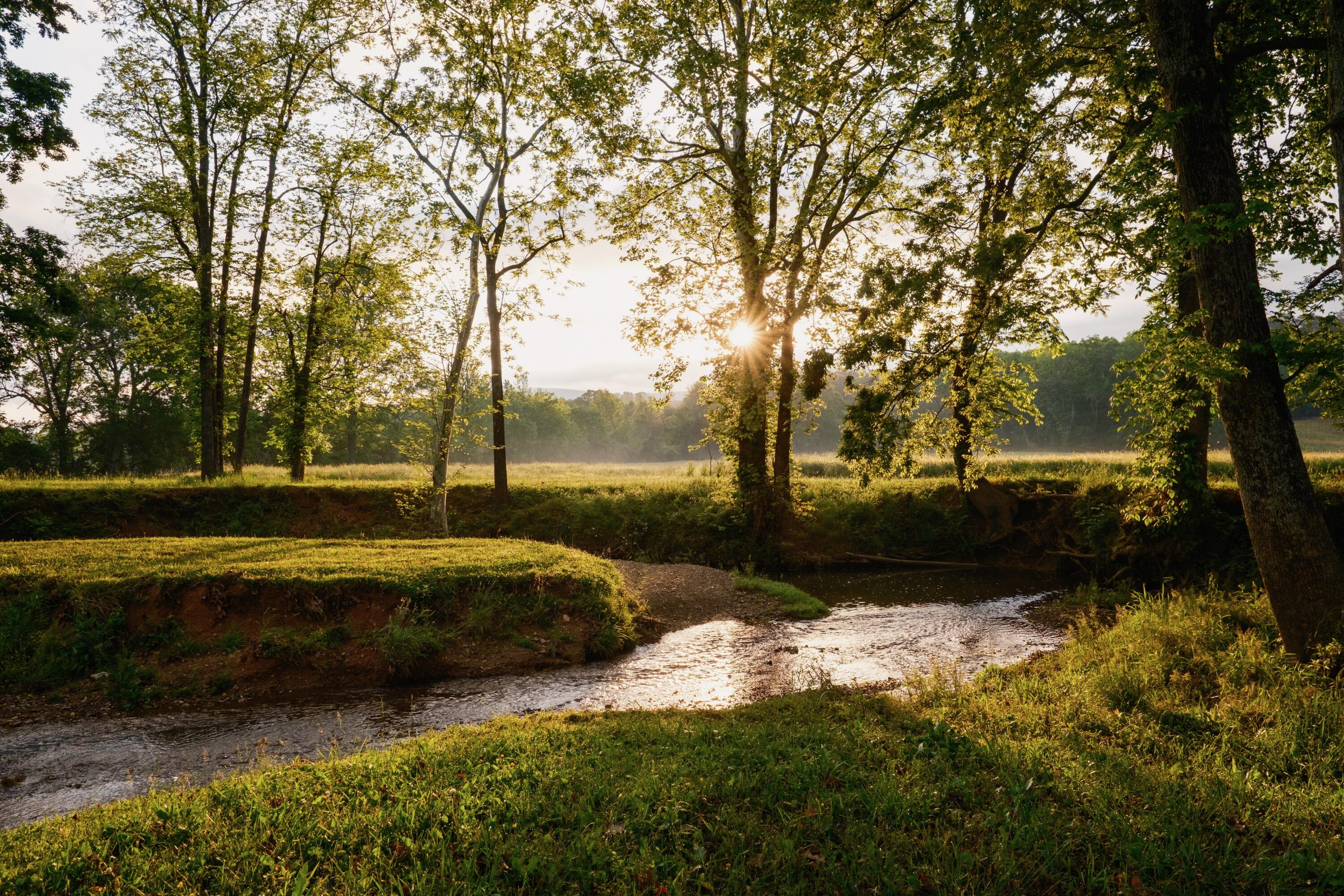 6971 W Cove Road, Chickamauga, Georgia image 9