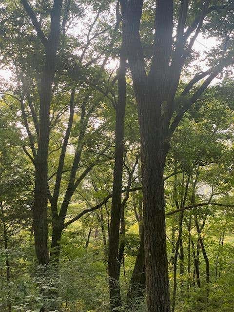 Vacant Land For Sale - 071 Long Mountain Road<br/> Warren County County, McMinnville, TN 37110