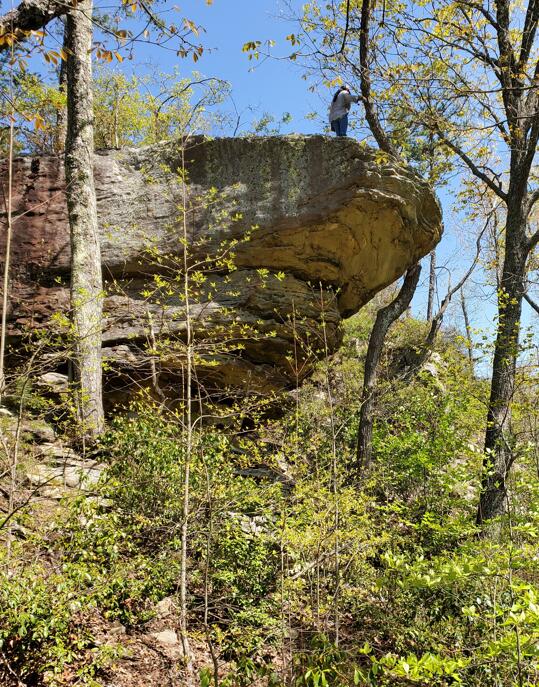 1525 Barker Road, Palmer, Tennessee image 26