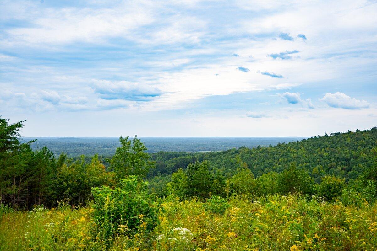 1525 Barker Road, Palmer, Tennessee image 1