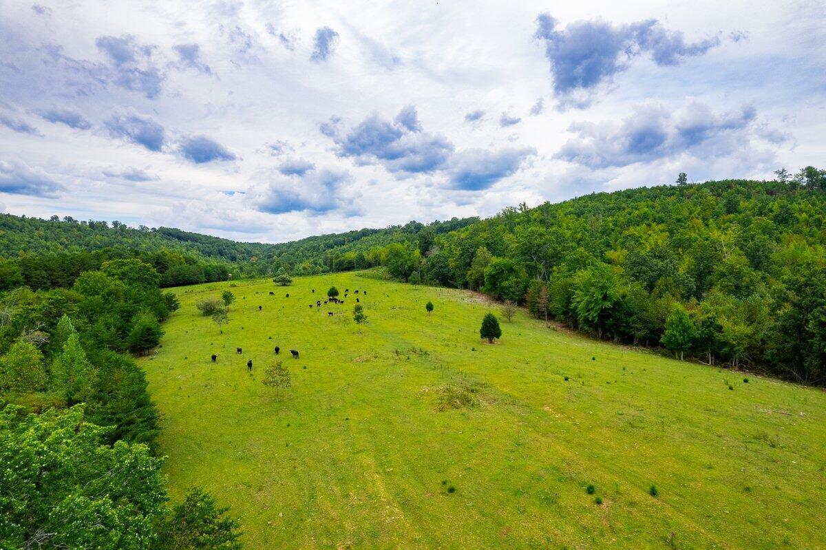 1525 Barker Road, Palmer, Tennessee image 30