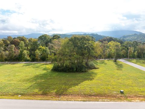Photo of 90 Scarlet Oak Drive, Dunlap, TN 37327 (MLS # 1522026)