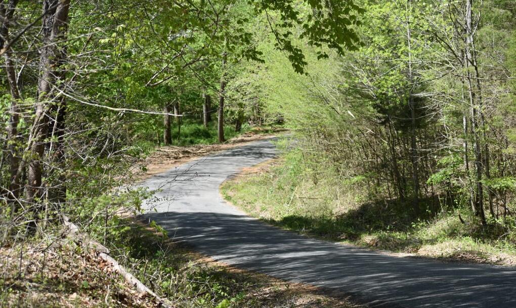 Buckner Ridge Road, Bon Aqua, Tennessee image 17
