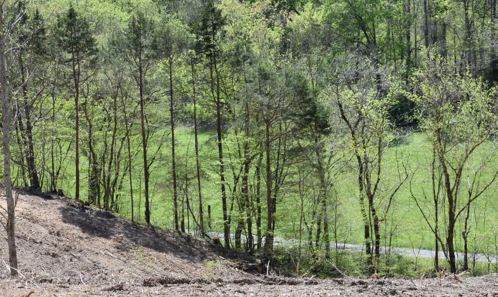 Buckner Ridge Road, Bon Aqua, Tennessee image 12