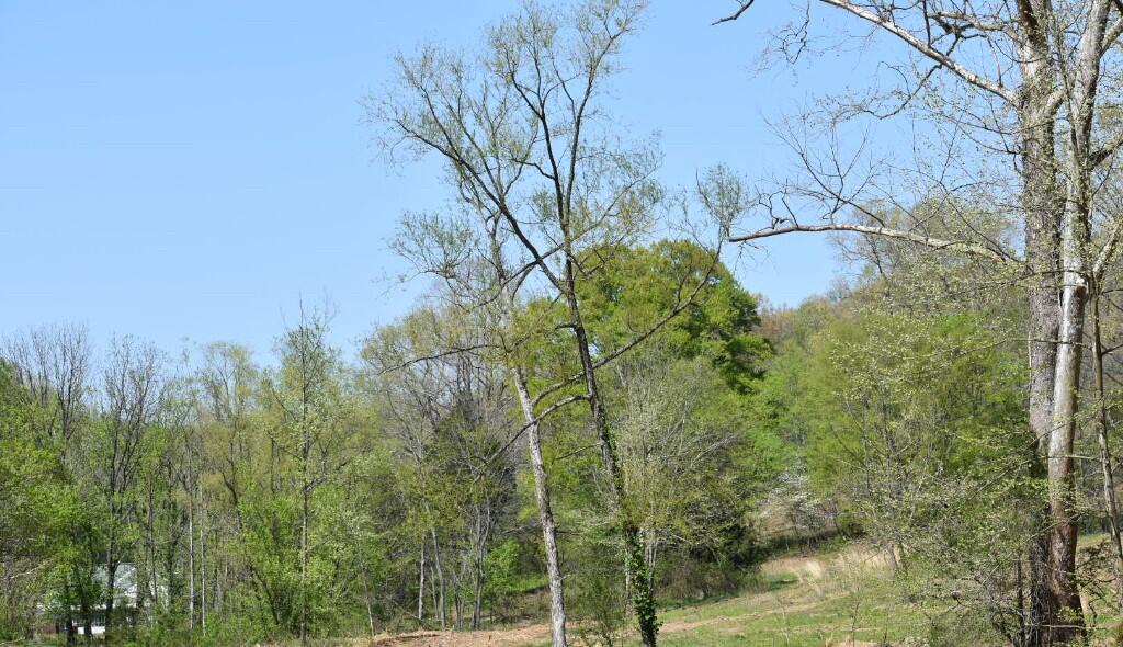 Buckner Ridge Road, Bon Aqua, Tennessee image 8