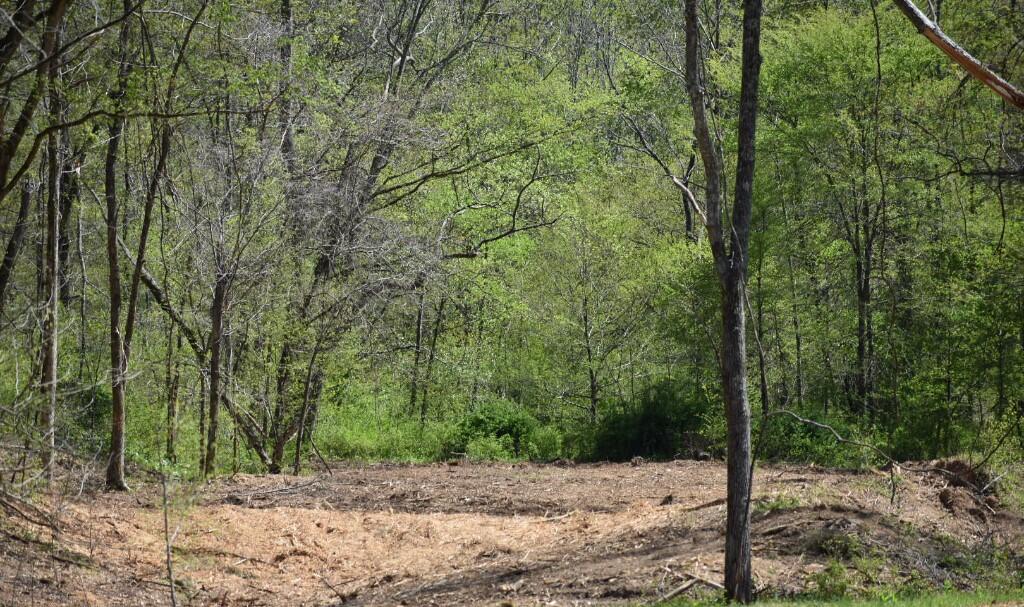 Buckner Ridge Road, Bon Aqua, Tennessee image 6