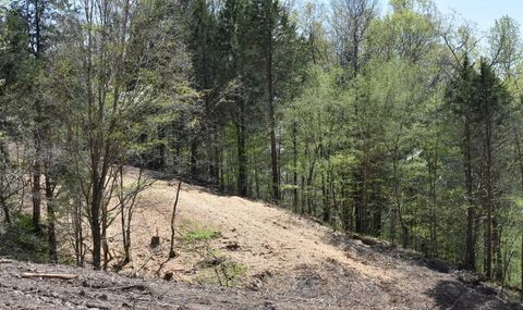 Tiny photo for 0 Buckner Ridge Road, Bon Aqua, TN 37025 (MLS # 1511797)