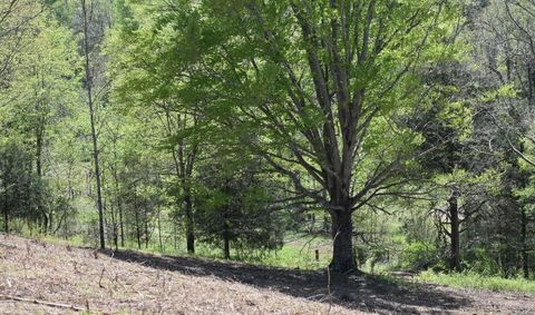 Tiny photo for 0 Buckner Ridge Road, Bon Aqua, TN 37025 (MLS # 1511797)