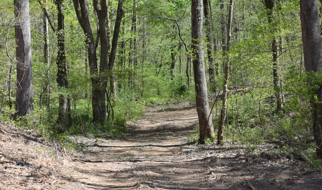 Buckner Ridge Road, Bon Aqua, Tennessee image 9