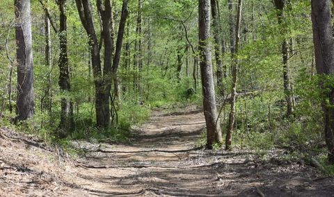 Tiny photo for 0 Buckner Ridge Road, Bon Aqua, TN 37025 (MLS # 1511797)