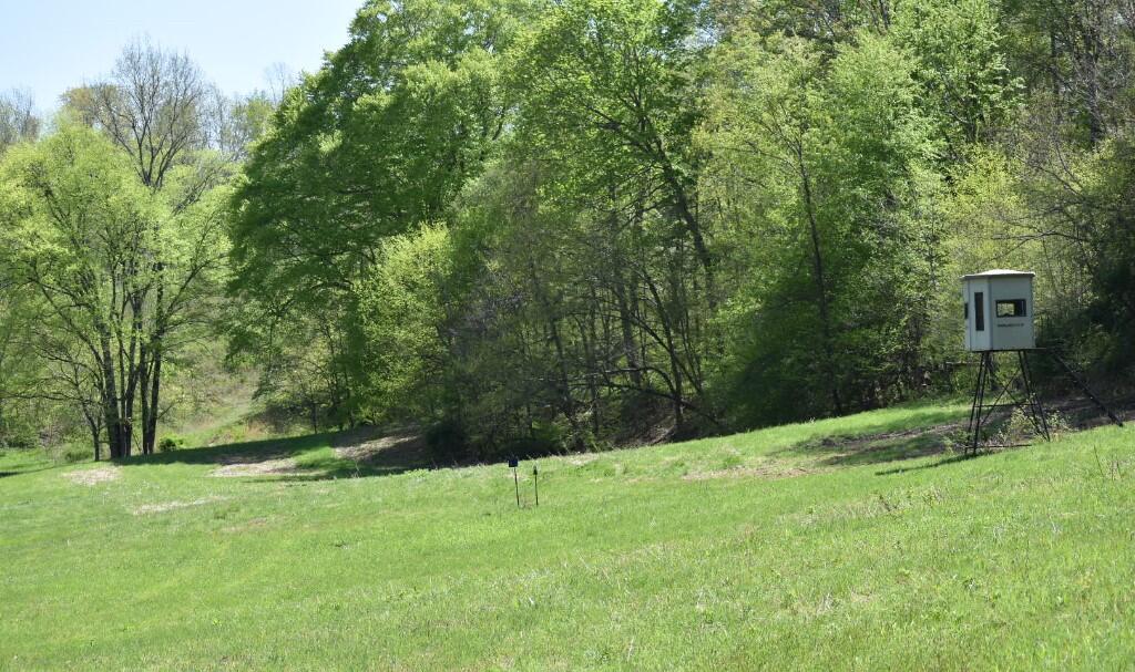 Buckner Ridge Road, Bon Aqua, Tennessee image 4