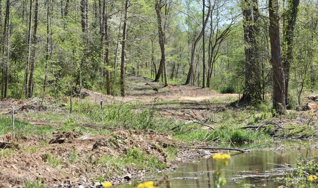 Buckner Ridge Road, Bon Aqua, Tennessee image 3