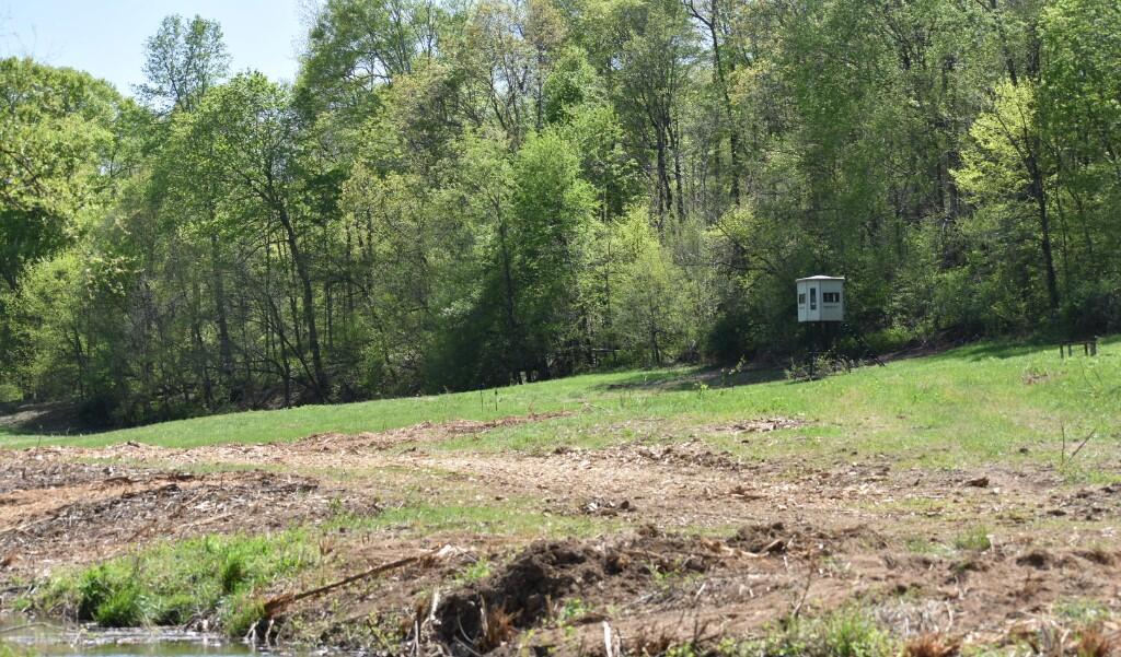 Buckner Ridge Road, Bon Aqua, Tennessee image 1