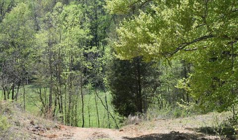 Tiny photo for 0 Buckner Ridge Road, Bon Aqua, TN 37025 (MLS # 1511797)