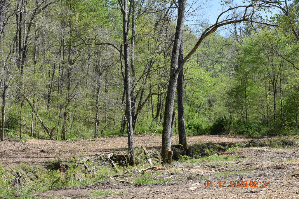 Buckner Ridge Road, Bon Aqua, Tennessee image 5