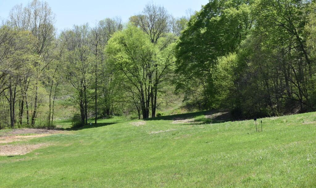 Buckner Ridge Road, Bon Aqua, Tennessee image 2