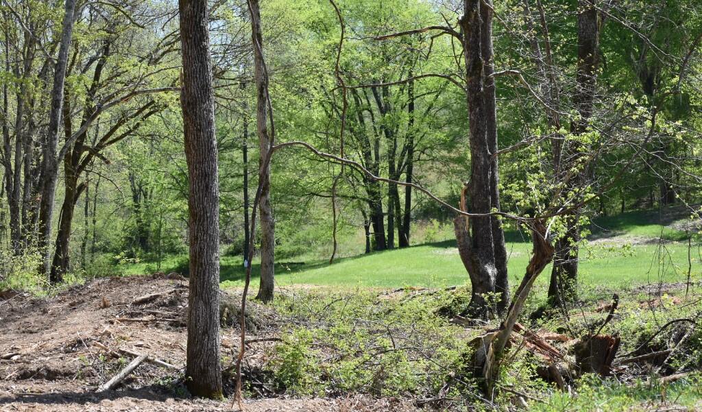 Buckner Ridge Road, Bon Aqua, Tennessee image 7