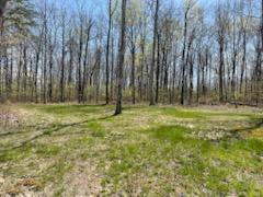 520 Gray Rock View, Pikeville, Tennessee image 7