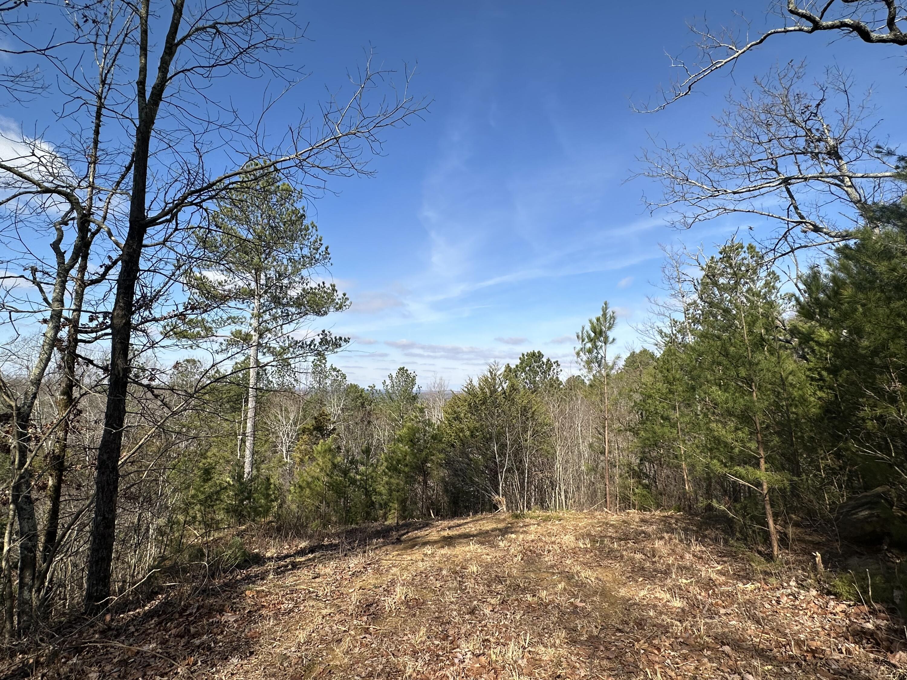 125 Fox Trail Drive, Old Fort, Tennessee image 1