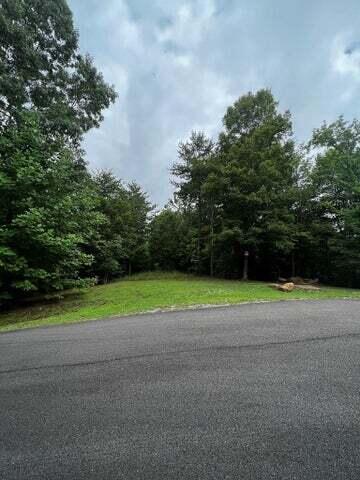 125 Fox Trail Drive, Old Fort, Tennessee image 16