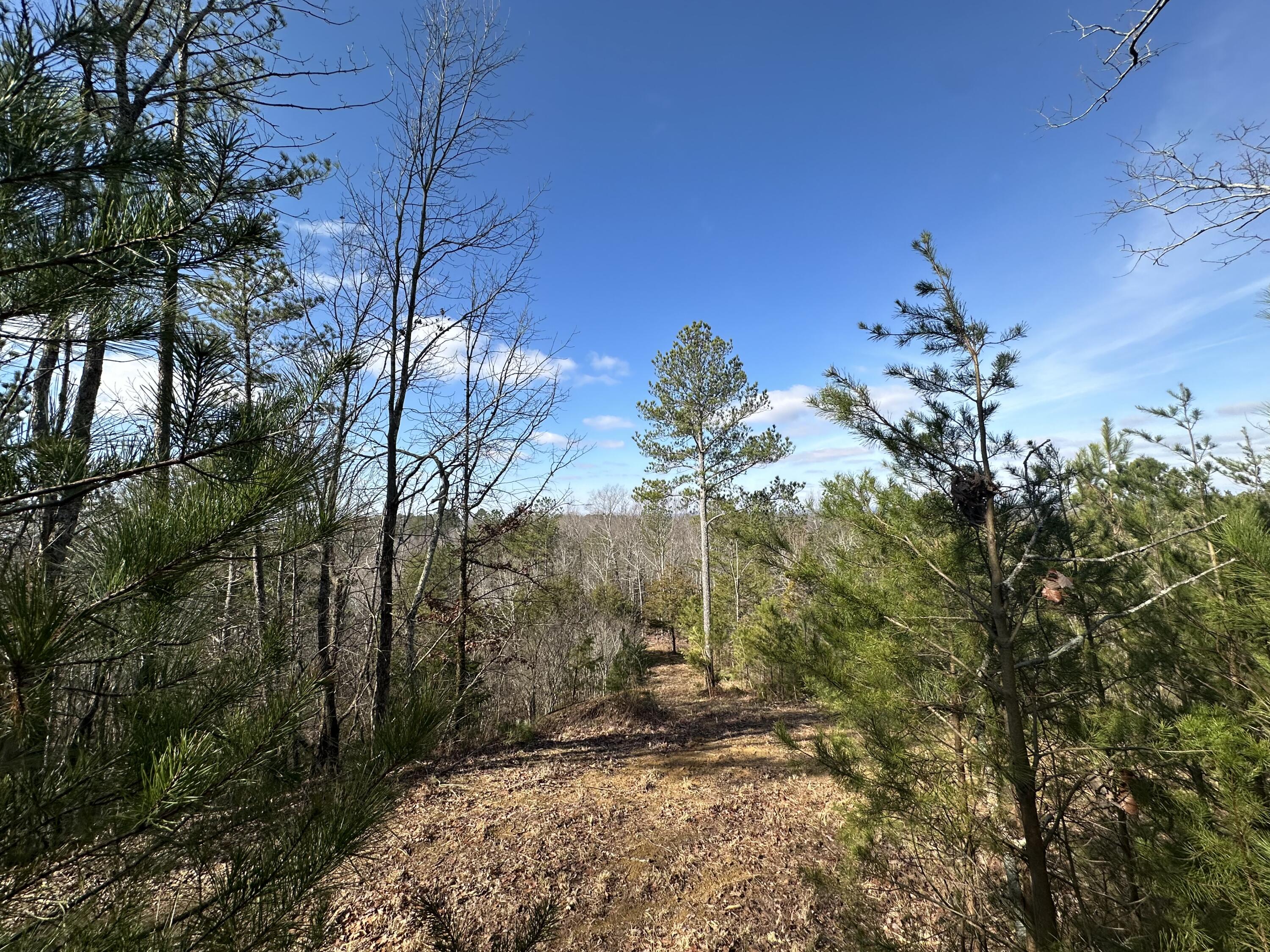 125 Fox Trail Drive, Old Fort, Tennessee image 7
