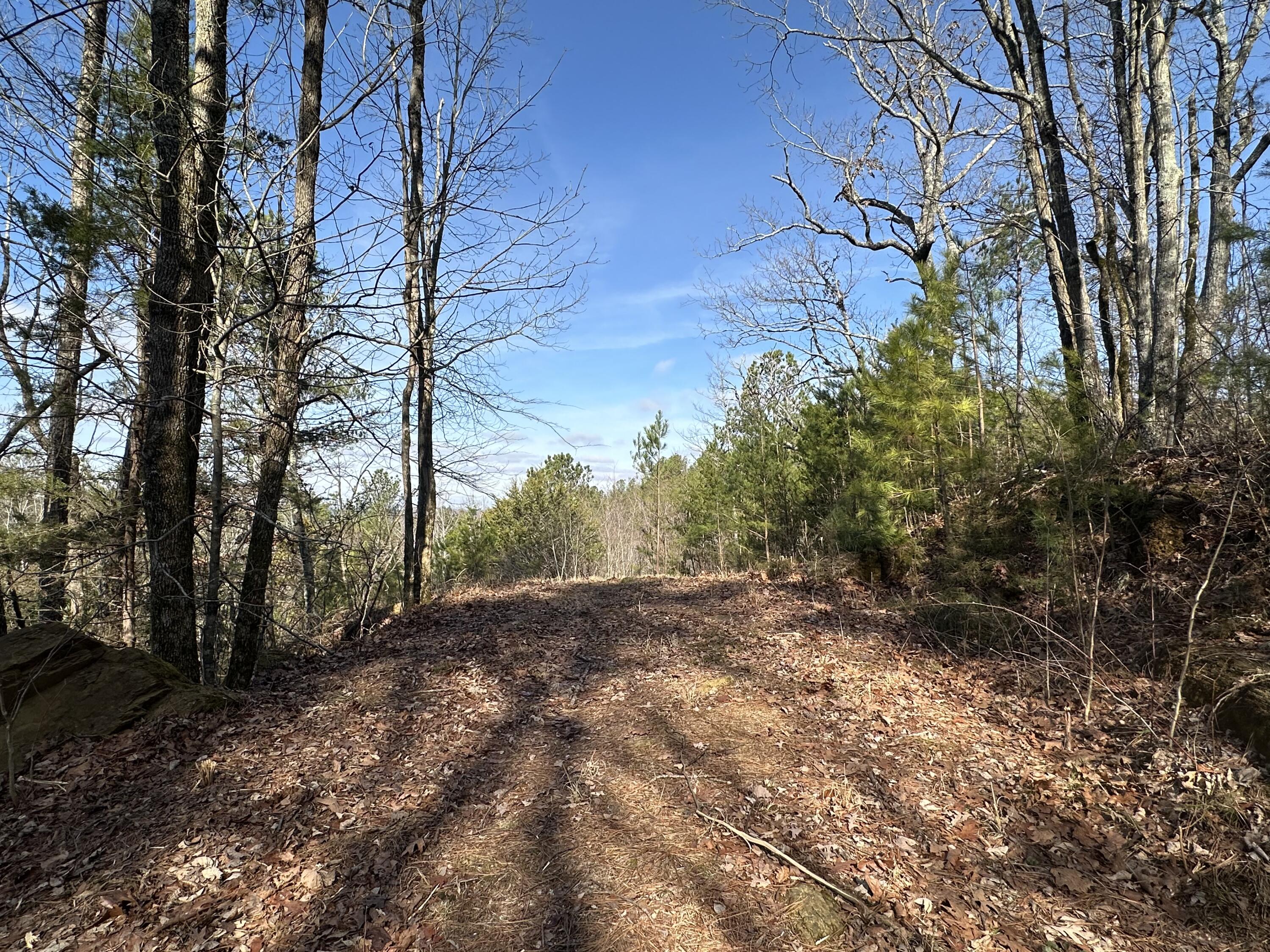 125 Fox Trail Drive, Old Fort, Tennessee image 4