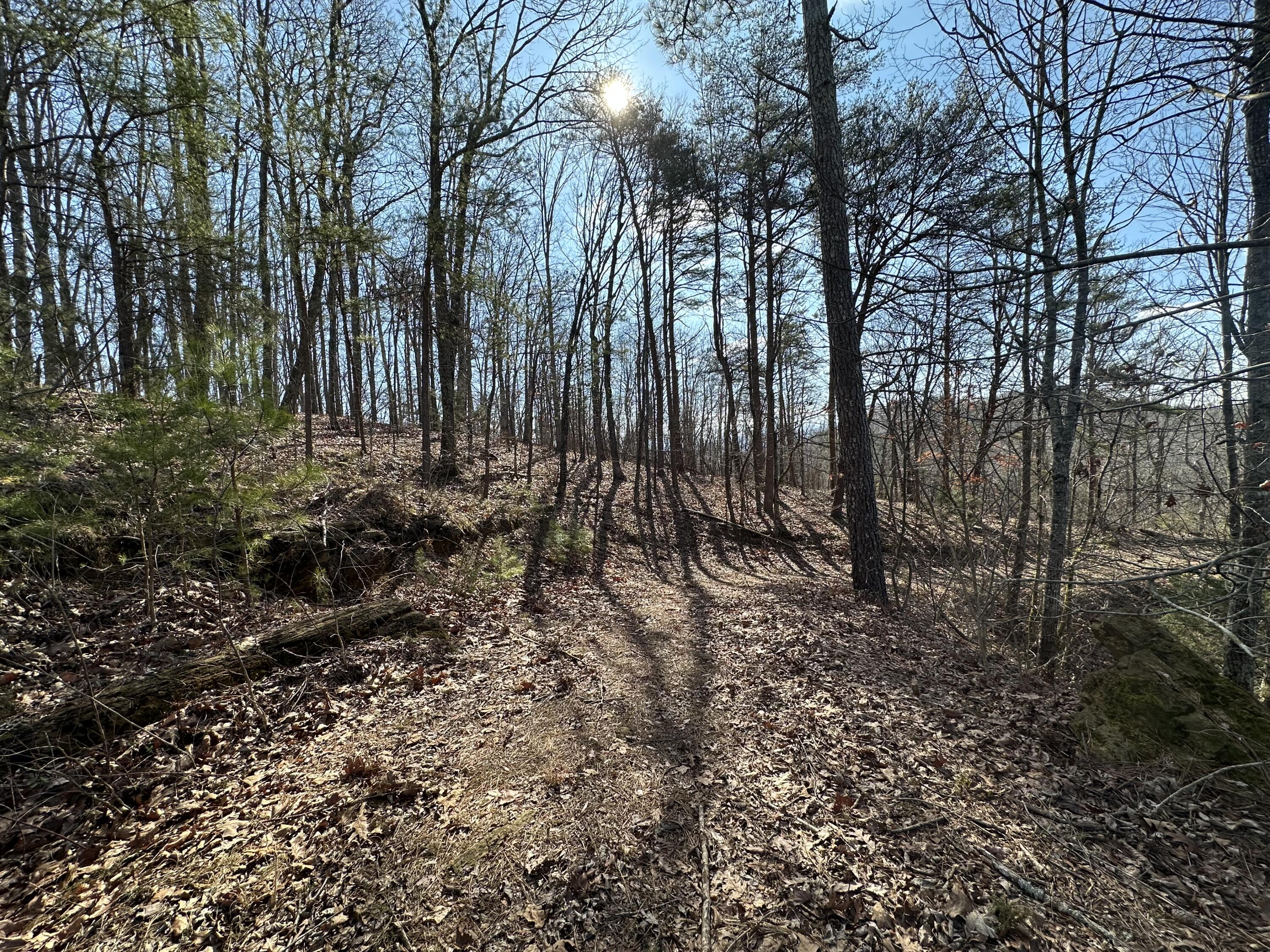 125 Fox Trail Drive, Old Fort, Tennessee image 8