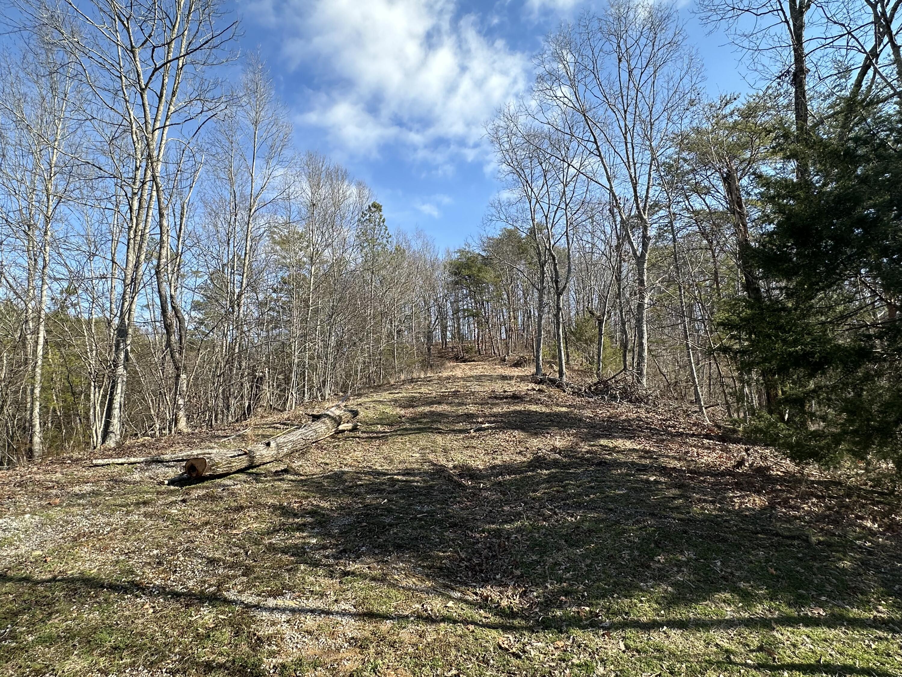 125 Fox Trail Drive, Old Fort, Tennessee image 6