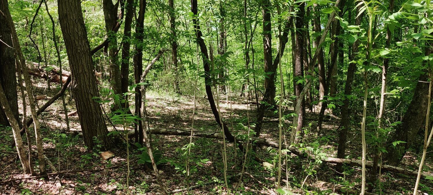 Coburntown (lot 11) Road, South Pittsburg, Tennessee image 2