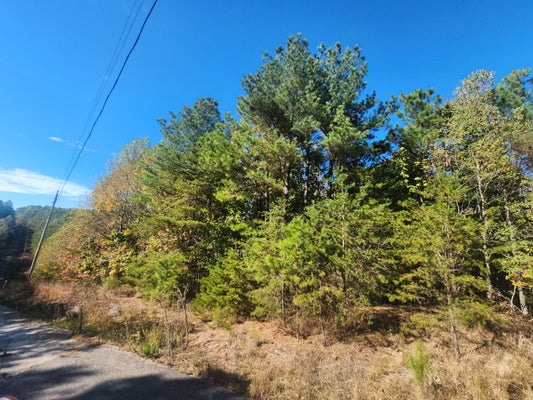0 SUNSET ROAD, SPENCER, TN 38585 - Image fd98c8e64b4aef12f1901e8b731ab8ff/3082058594