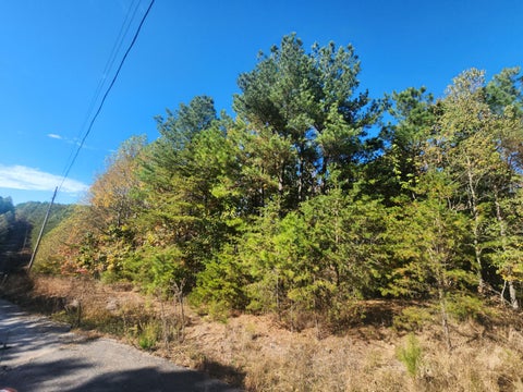 Photo of 0 Sunset Road, Spencer, TN 38585 (MLS # 1545383)